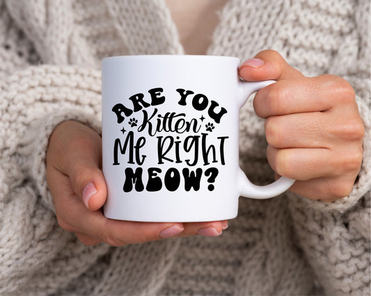 Are You Kitten Me Right Meow Cat Saying, Quote Coffee Mug