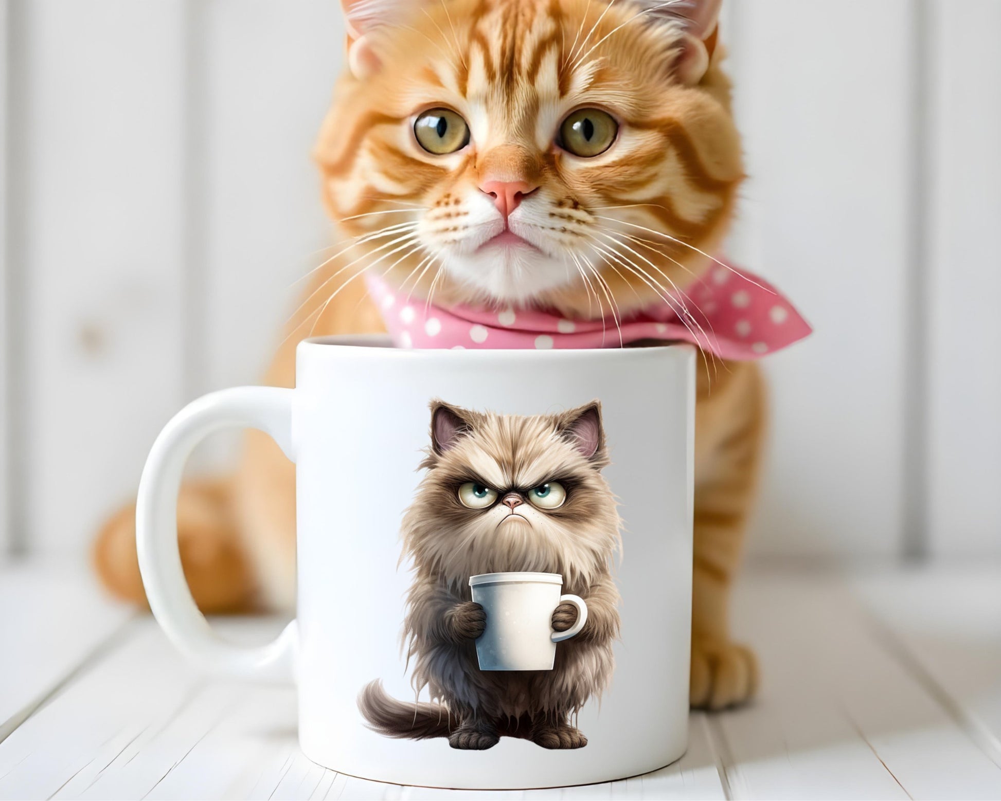 Grumpy Cat Saying, Quote Coffee Mug